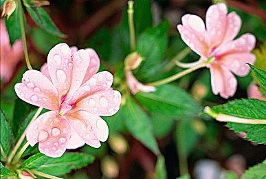 《三角战略》VR版将在10＆31登陆Quest 2和Quest 3